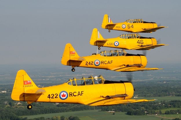 Canadian Harvard Aircraft Association performs annual Remembrance Day flight over Toronto