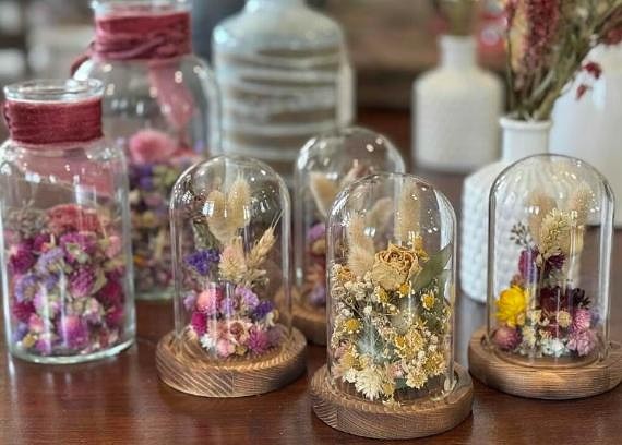 Dried flowers in cloche at Makkinks Flower Farm. Photo by Adam Waxman/DINE magazine