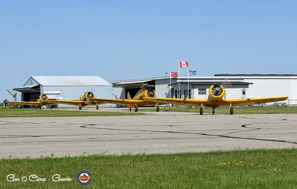 Photo Gallery: 4 Harvards coasting on runway