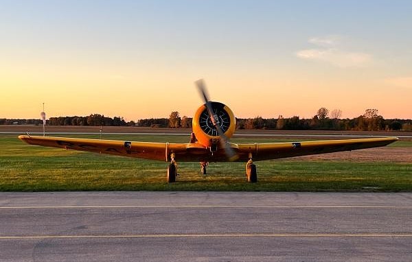 Photo Gallery: Beauty