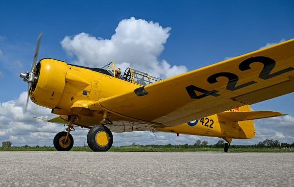 Photo Gallery: September Gus