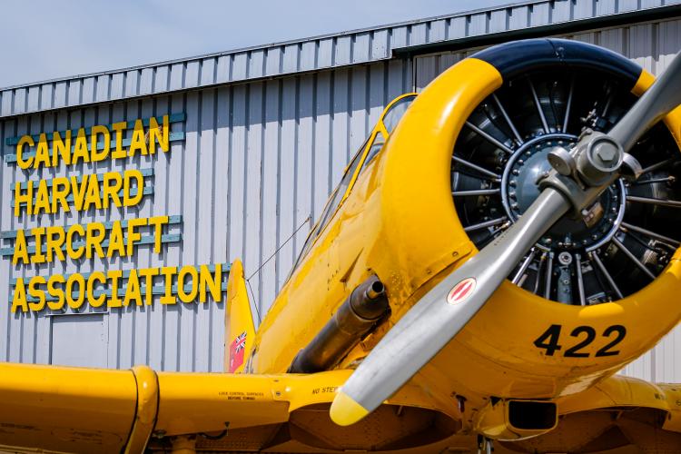 About CHAA: How we formed