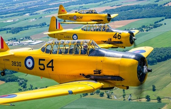 Stratford Beacon Herald Harvards